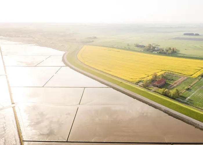 Gulfhof Polder72 Polder72 11 Konko Hikna *