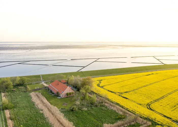 Gulfhof Polder72 Polder72 11 Konko Hikna Apartman